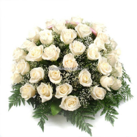 Корзина из 30 или 50(на фото) белых роз и гипсофилы