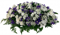 Композиция на крышку гроба из живых цветов (флоретка) №7525
