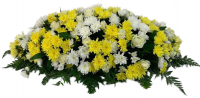 Композиция на крышку гроба из живых цветов (флоретка) №7524